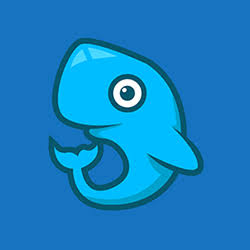custom_website